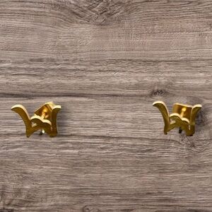Las Vegas Raiders stud earrings (gold plated)